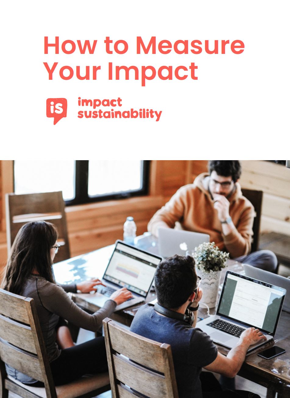 How To Measure Your Impact - Impact Sustainability